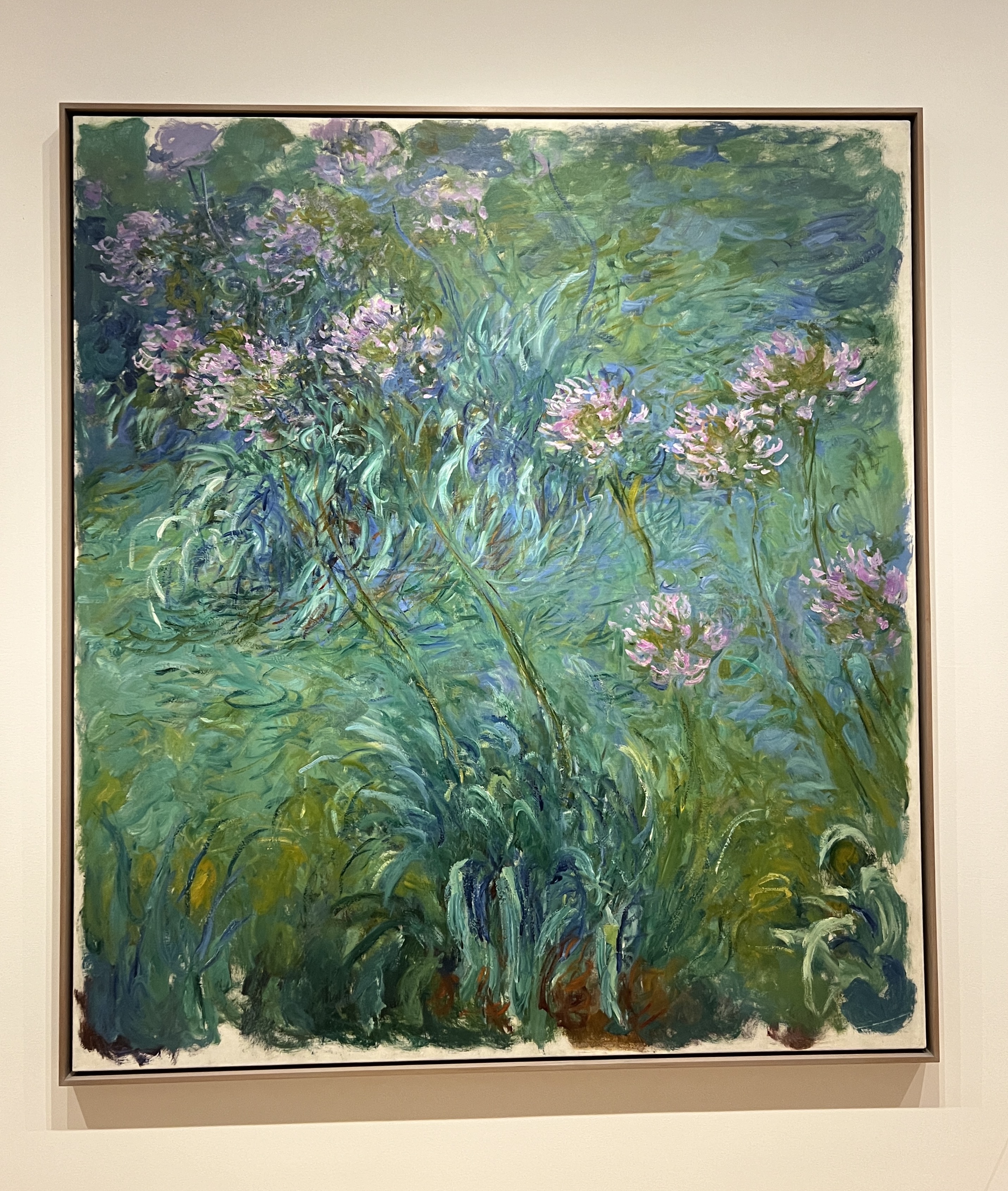 Monet's Water Lilies-myfave